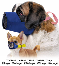 Four flags dog outlet muzzle